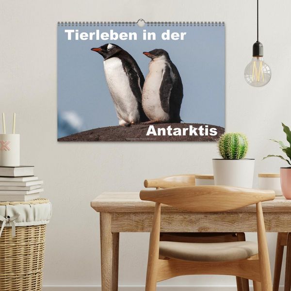 Produktbild: Tierleben in der Antarktis (Wandkalender 2026 DIN A3 quer), CALVENDO Monatskalender