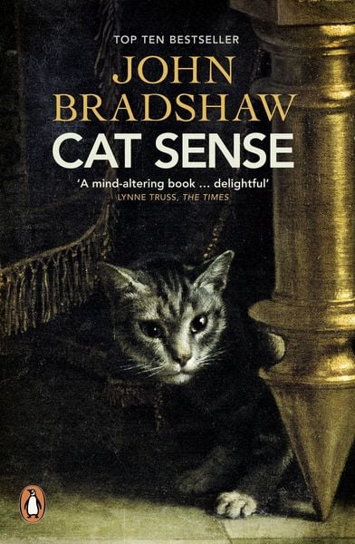 Produktbild: Cat Sense