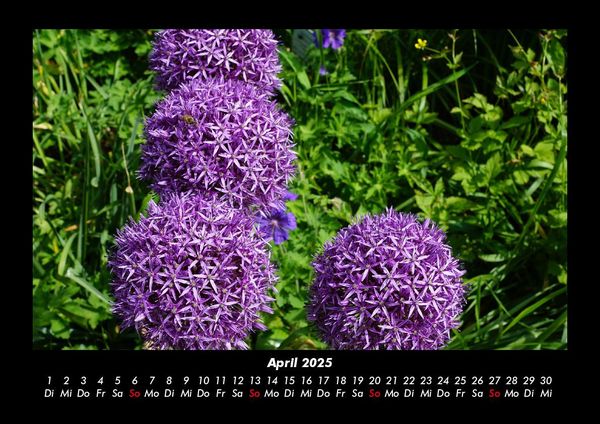 Produktbild: Blumenzauber 2025 Fotokalender DIN A3