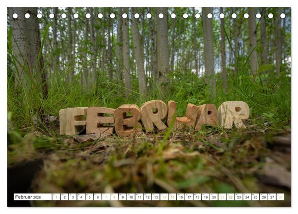 Produktbild: Holz, ein fantastischer Rohstoff. (Tischkalender 2026 DIN A5 quer), CALVENDO Monatskalender
