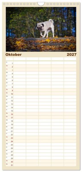 Produktbild: Familienplaner 2027 - Mops mit 5 Spalten (Wandkalender, 21 x 45 cm) CALVENDO