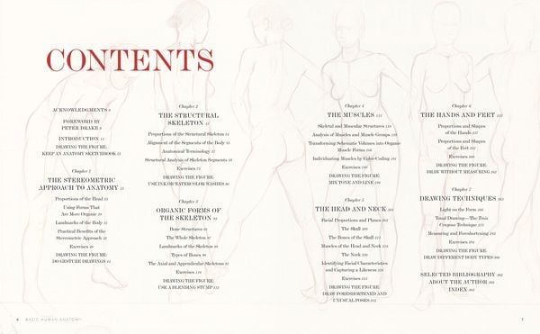 Produktbild: Basic Human Anatomy