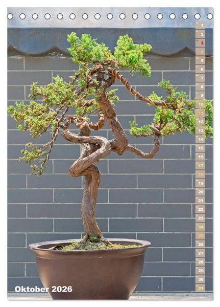 Produktbild: Bonsai: Gartenkunst im Kleinen (Tischkalender 2026 DIN A5 hoch), CALVENDO Monatskalender