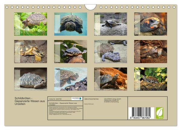 Produktbild: Schildkr&ouml;ten - Gepanzerte Wesen aus Urzeiten (Wandkalender 2026 DIN A4 quer), CALVENDO Monatskalender
