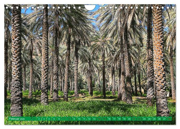 Produktbild: Unterwegs im Weihrauchland Oman (Wandkalender 2026 DIN A4 quer), CALVENDO Monatskalender