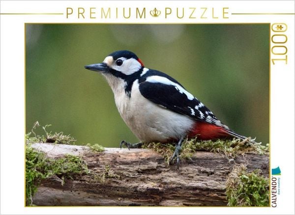 Produktbild: CALVENDO Puzzle Buntspecht / Dendrocopos major / Great Spotted Woodpecker | 1000 Teile Lege-Gr&ouml;&szlig;e 64x48cm Foto-Puzzle f&uuml;r gl&uuml;ckliche Stunden