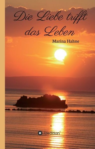Produktbild: Hahne, M: Liebe trifft das Leben