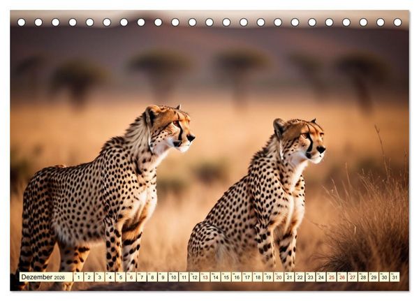 Produktbild: Geparden - die schnellsten J&auml;ger der Welt (Tischkalender 2026 DIN A5 quer), CALVENDO Monatskalender