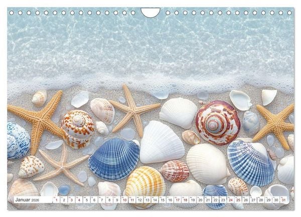 Produktbild: Sandgefl&uuml;ster und Muschelzauber (Wandkalender 2026 DIN A4 quer), CALVENDO Monatskalender