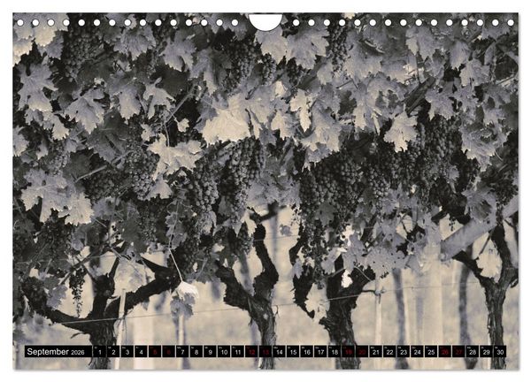 Produktbild: Romantisches Italien (Wandkalender 2026 DIN A4 quer), CALVENDO Monatskalender