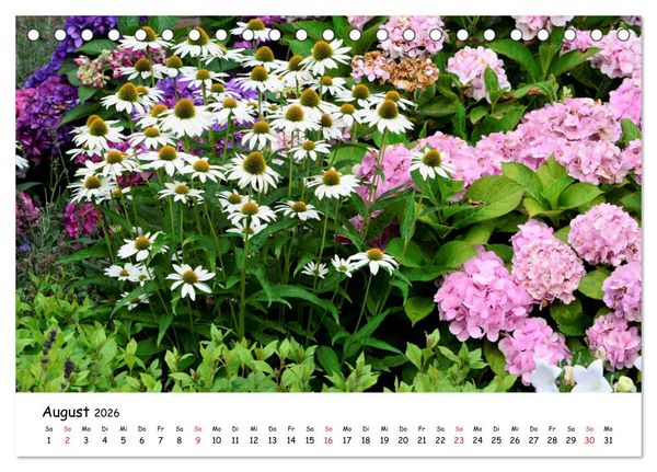 Produktbild: Mein Garten Eine Leidenschaft (Tischkalender 2026 DIN A5 quer), CALVENDO Monatskalender