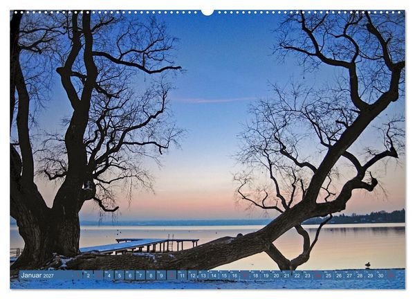 Produktbild: B&auml;ume sind Tr&auml;ume (hochwertiger Premium Wandkalender 2027 DIN A2 quer), Kunstdruck in Hochglanz