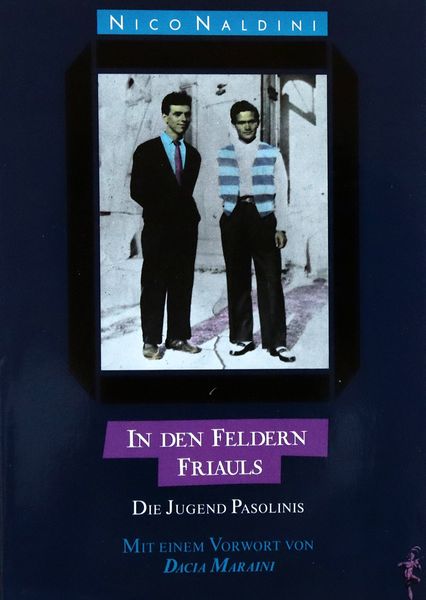 Produktbild: In den Feldern Friauls