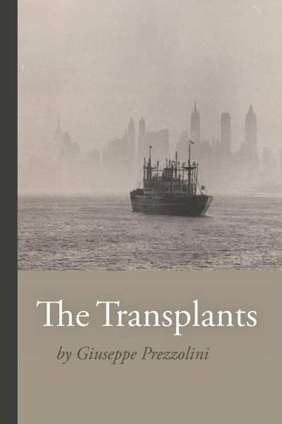 Produktbild: The Transplants