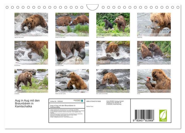 Produktbild: Aug in Aug mit den Braunb&auml;ren in Kamtschatka (Wandkalender 2026 DIN A4 quer), CALVENDO Monatskalender