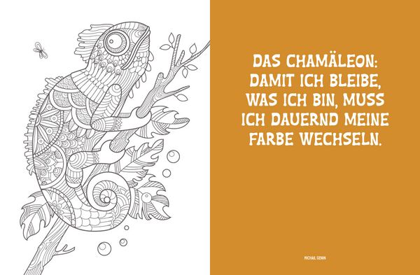 Produktbild: Colorful Mandala &ndash; Mandala &ndash; Dschungeltiere