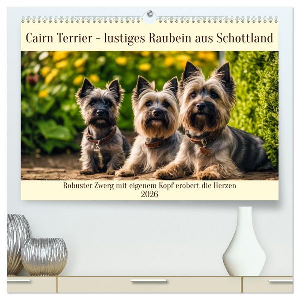 Produktbild: Cairn Terrier - lustiges Raubein aus Schottland (hochwertiger Premium Wandkalender 2026 DIN A2 quer), Kunstdruck in Hochglanz