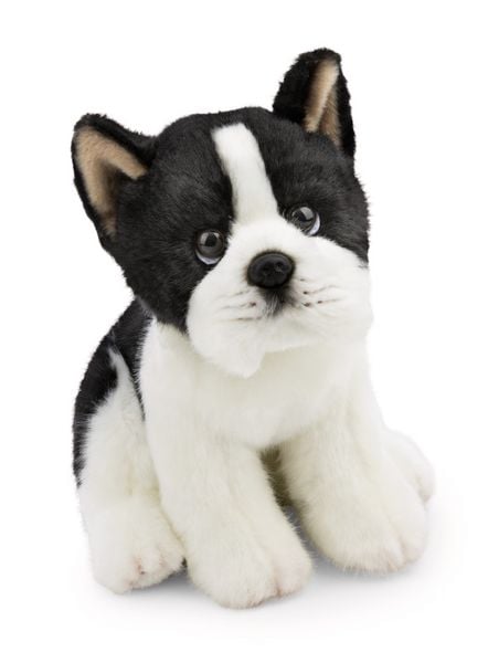 Produktbild: NICI - Kuscheltier Hund Boston Terrier 20cm