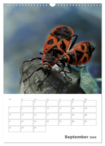 Produktbild: Helden in der Natur (Wandkalender 2026 DIN A3 hoch), CALVENDO Monatskalender