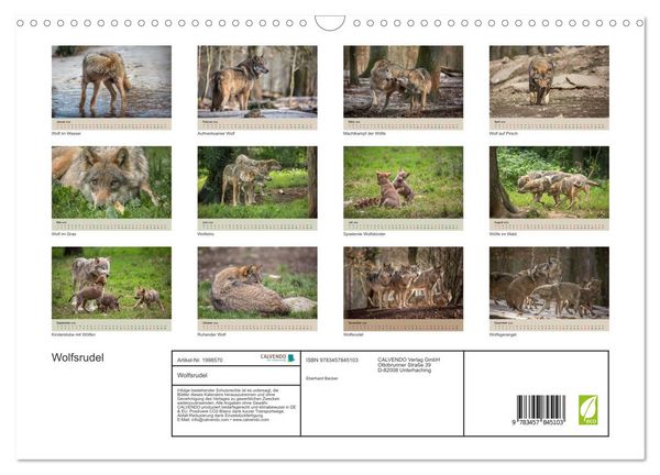 Produktbild: Wolfsrudel (Wandkalender 2026 DIN A3 quer), CALVENDO Monatskalender