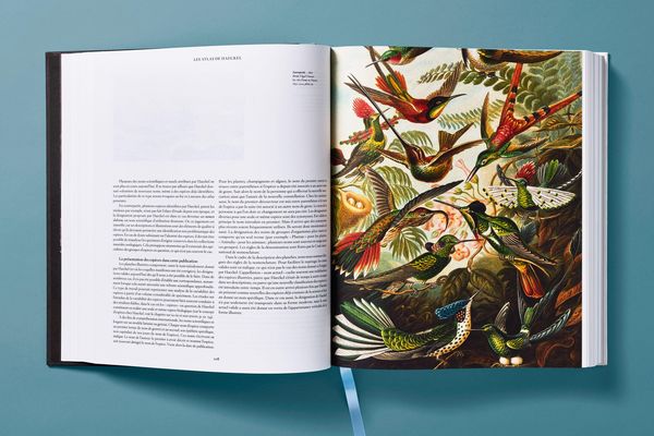 Produktbild: The Art and Science of Ernst Haeckel