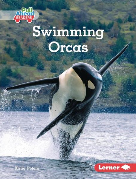 Produktbild: Swimming Orcas