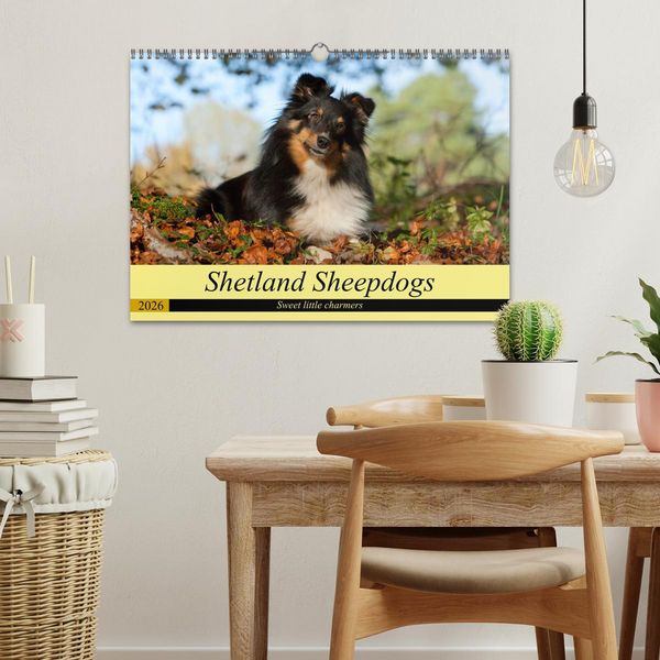 Produktbild: Shetland Sheepdogs - Sweet little charmers (Wall Calendar 2026 DIN A3 landscape), CALVENDO 12 Month Wall Calendar