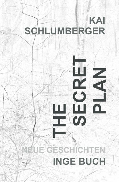 Produktbild: The secret plan oder der Weg ins Licht