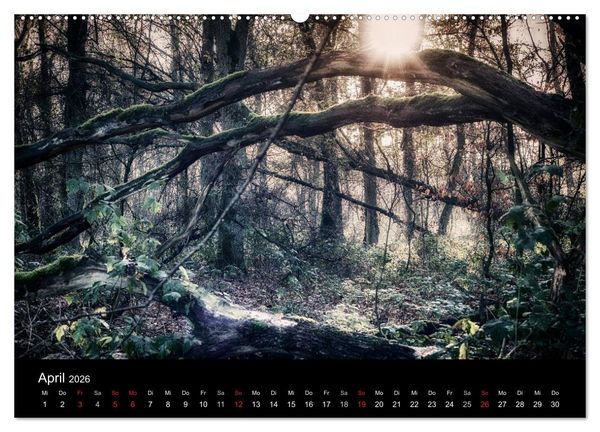Produktbild: Mystische W&auml;lder (hochwertiger Premium Wandkalender 2026 DIN A2 quer), Kunstdruck in Hochglanz