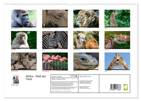 Produktbild: Afrika - Welt der Tiere (hochwertiger Premium Wandkalender 2026 DIN A2 quer), Kunstdruck in Hochglanz
