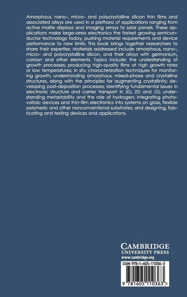 Produktbild: Amorphous and Plycrystalline Thin-Film Silicon Science and Technology - 2008