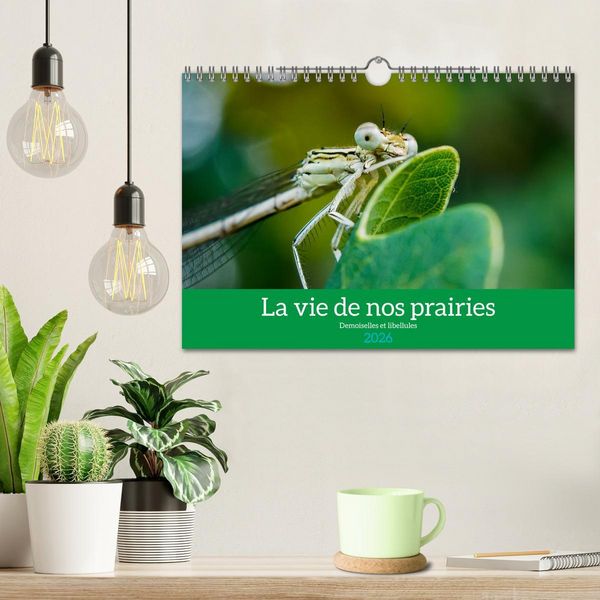 Produktbild: La vie de nos prairies - Demoiselles et libellules (Calendrier mural 2026 DIN A4 vertical), CALVENDO calendrier mensuel