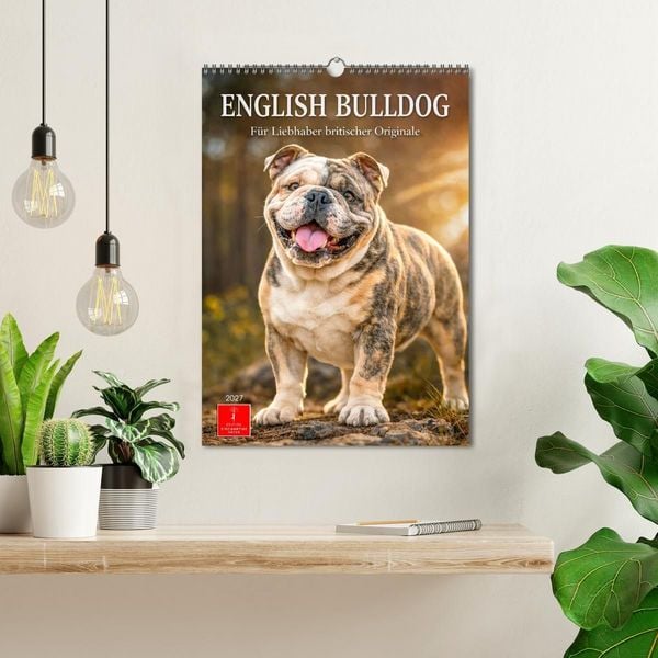 Produktbild: English Bulldog - F&uuml;r Liebhaber britischer Originale (Wandkalender 2027 DIN A3 hoch), CALVENDO Monatskalender