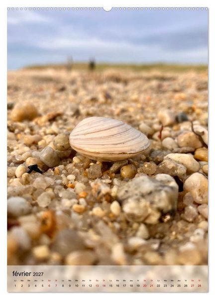 Produktbild: Plages et coquillages (Calendrier mural 2027 DIN A2 horizontal), CALVENDO calendrier mensuel