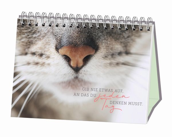 Produktbild: Kleine Tiger, gro&szlig;es Gl&uuml;ck!