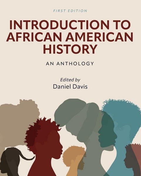 Produktbild: Introduction to African American History