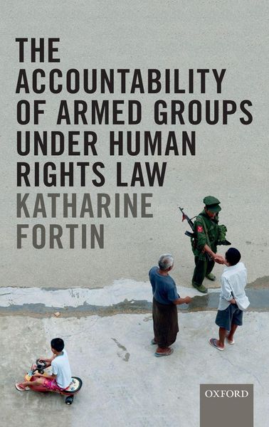 Produktbild: Account Arm Group und Human Rights Law C