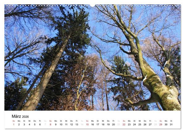 Produktbild: Der Ebersberger Forst und seine Umgebung (hochwertiger Premium Wandkalender 2026 DIN A2 quer), Kunstdruck in Hochglanz