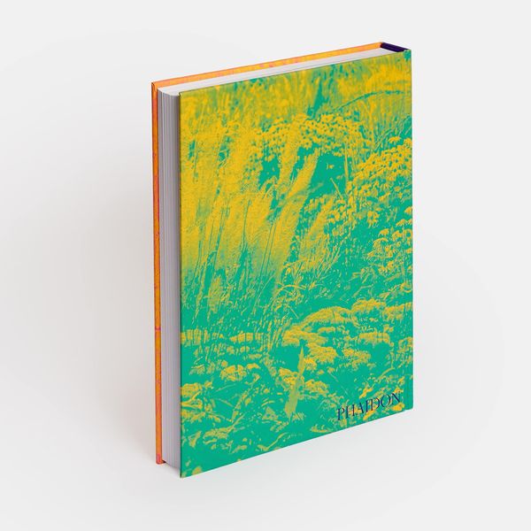 Produktbild: Wild: The Naturalistic Garden