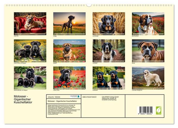Produktbild: Molosser - Gigantischer Kuschelfaktor (hochwertiger Premium Wandkalender 2026 DIN A2 quer), Kunstdruck in Hochglanz