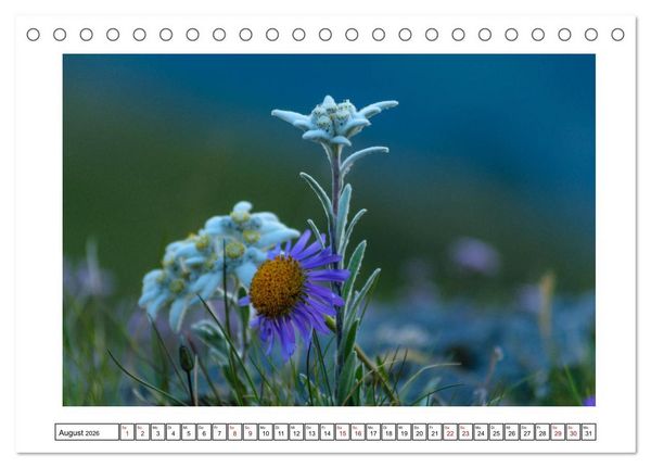 Produktbild: Alpenartig (Tischkalender 2026 DIN A5 quer), CALVENDO Monatskalender