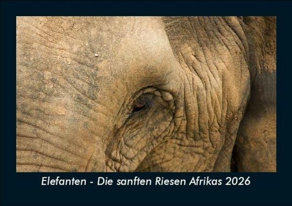 Produktbild: Elefanten - Die sanften Riesen Afrikas 2026 Fotokalender DIN A5