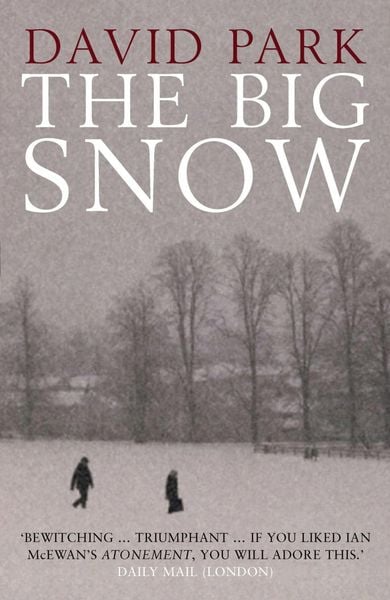 Produktbild: The Big Snow