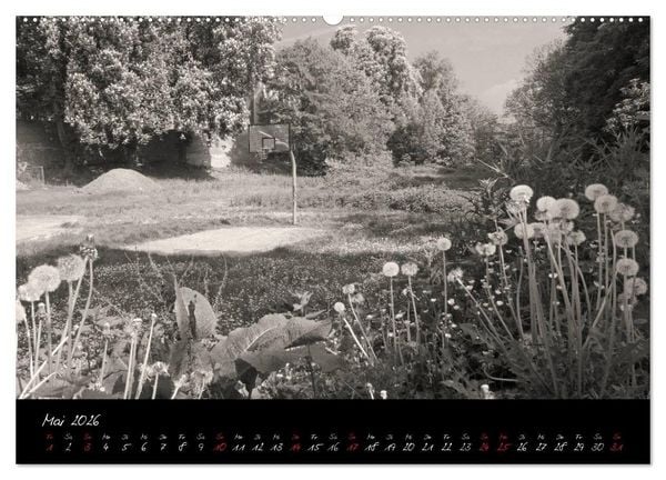 Produktbild: Kaiserswerther Impressionen (hochwertiger Premium Wandkalender 2026 DIN A2 quer), Kunstdruck in Hochglanz