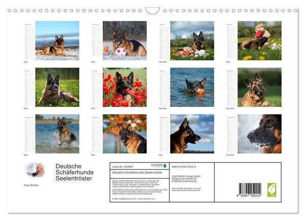 Produktbild: Deutsche Sch&auml;ferhunde Seelentr&ouml;ster (Wandkalender 2026 DIN A3 quer), CALVENDO Monatskalender