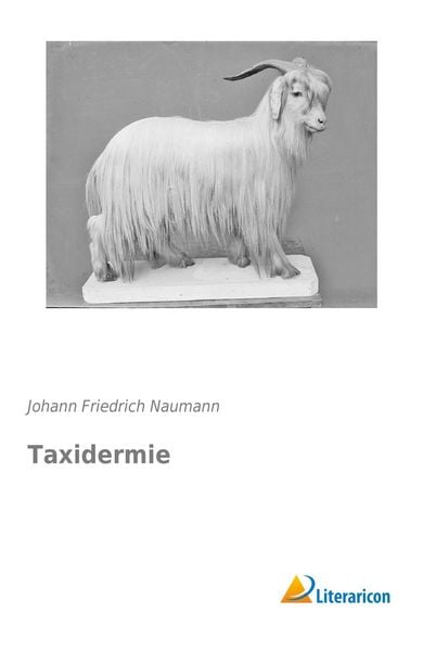 Produktbild: Taxidermie