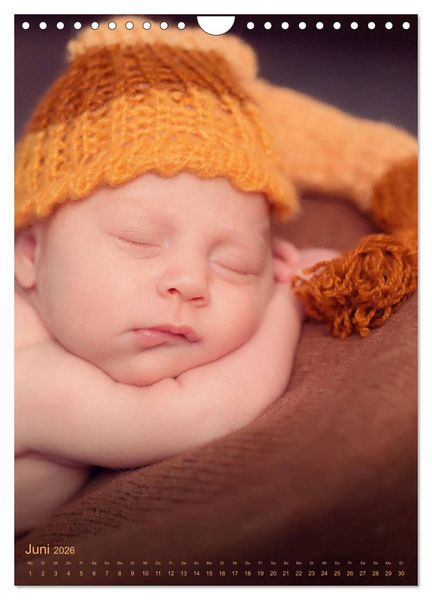 Produktbild: Babys - Die Liebe des Lebens (Wandkalender 2026 DIN A4 hoch), CALVENDO Monatskalender
