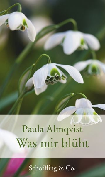 Was mir blüht, Gebundene Ausgabe von Paula Almqvist, Schöffling, 978-3-89561-596-2