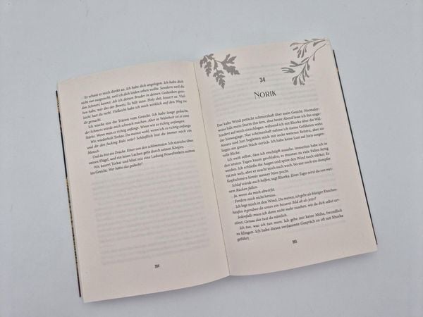 Produktbild: In Fire and Rain &ndash; Feuerherz