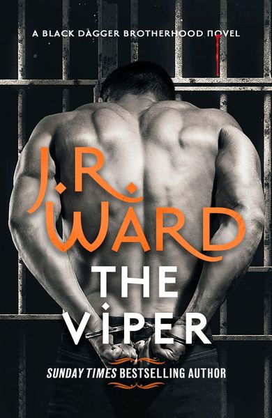 Produktbild: The Viper